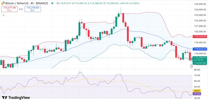 Bitcoin struggles around $115K as ETFs see outflows — could BTC whale accumulation lead to a reversal? - 1