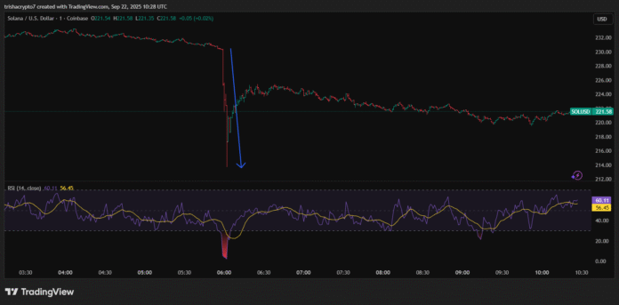 Solana's price fell in the first hours of trade | Source: Tradingview