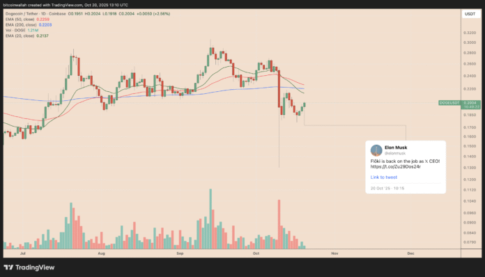 Dogecoin Expects 25% Boom as Elon Musk Posts DOGE Tweet Dogecoin Expects 25% Boom as Elon Musk Posts DOGE Tweet