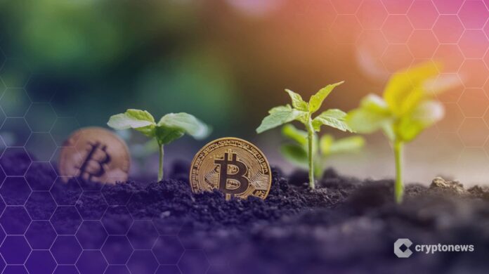 DeFi proponents propose a $30 billion plan to combat global poverty – here is the plan