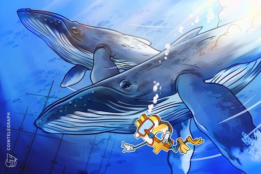 How Bitcoin whales shape the market

